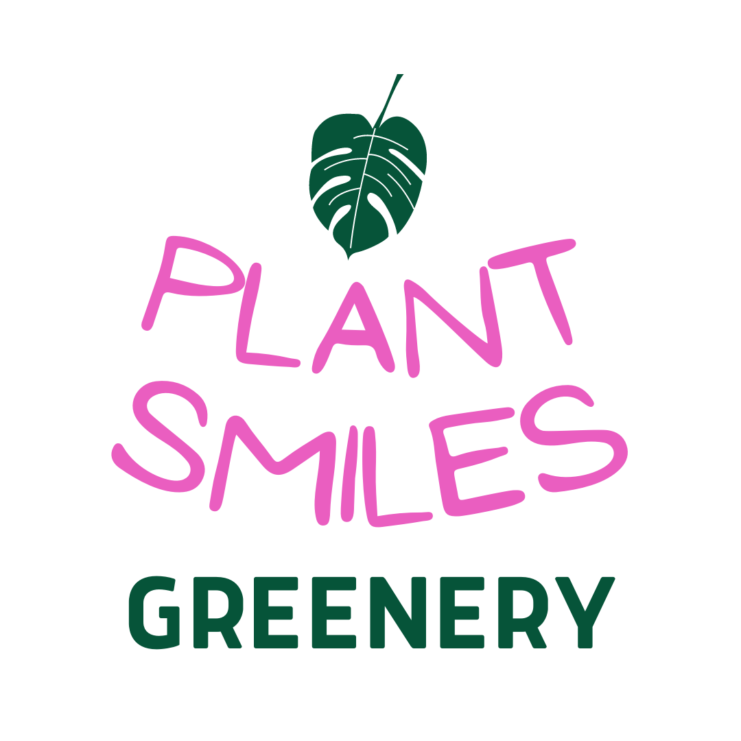 contact-plant-smiles-greenery