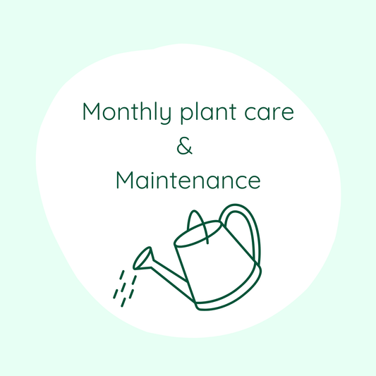 Monthly Plant Care & Maintenance